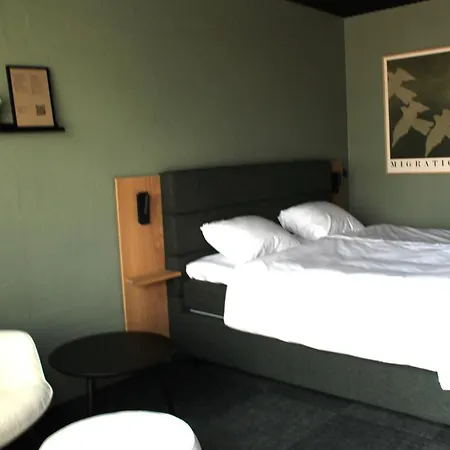 Hedegaarden 3* 바일레