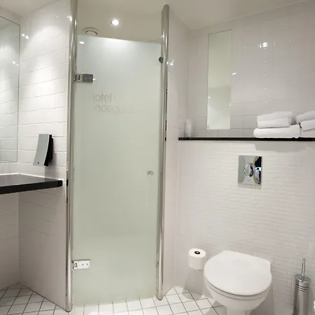 Hedegaarden 바일레