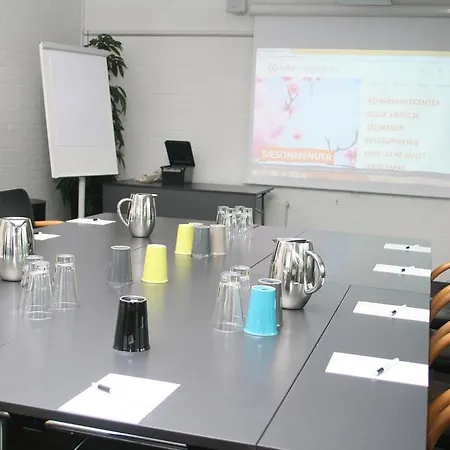 Hedegaarden 호텔 바일레