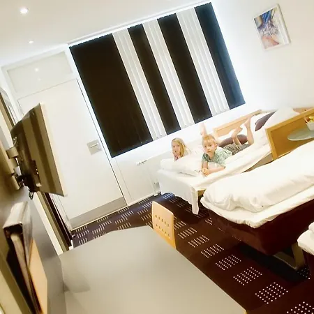 Hedegaarden 3* 바일레