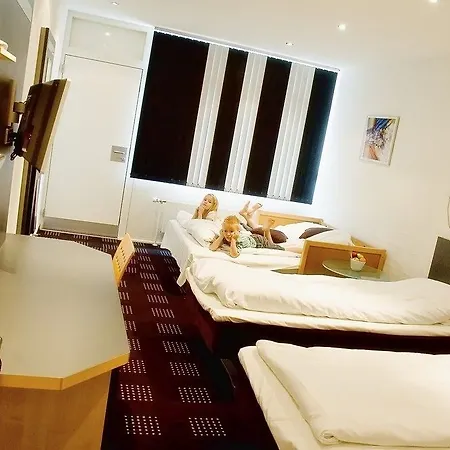 호텔 Hedegaarden 3*