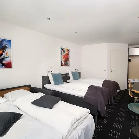 Hedegaarden 3* 바일레