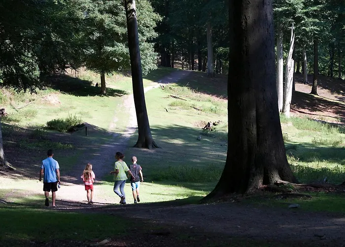 Hedegaarden Hotel 3*