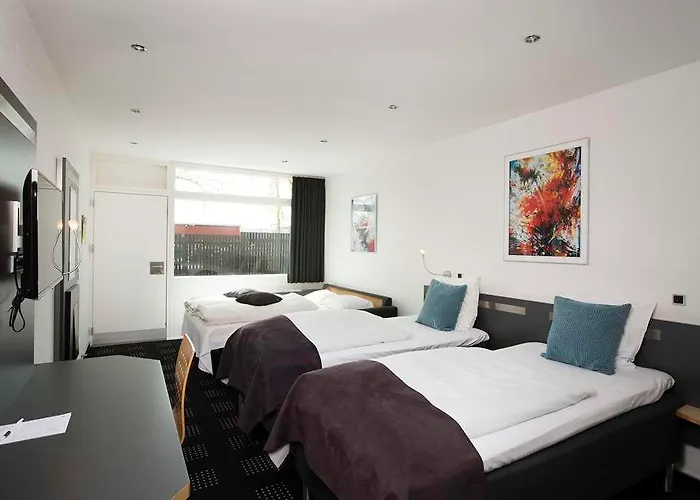 Hotel Hedegaarden 3*