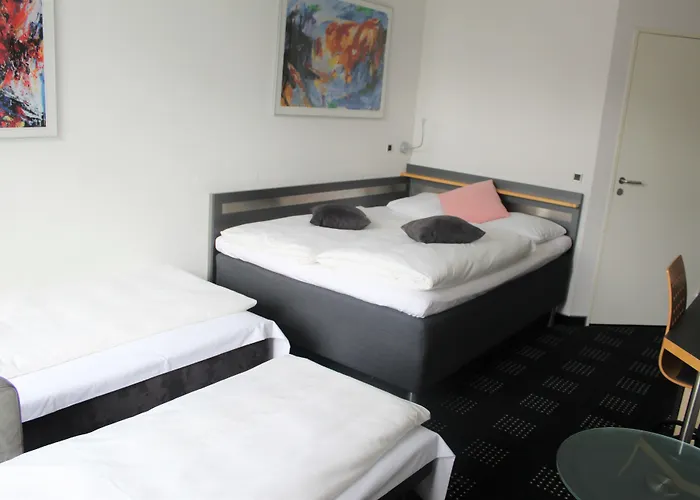 Hotel Hedegaarden 3*